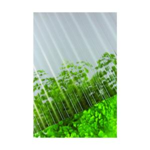 タキロンKCポリカ波板 6尺 ブロンズの買取情報