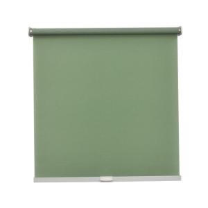 トーソー株式会社 スチールラックロールスクリーン Green 45×180(cm) 45×180(cm) RK-194 メタルラック｜diy-tool