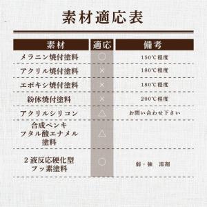 染めQ ミッチャクロンマルチスプレー 強力プラ...の詳細画像5