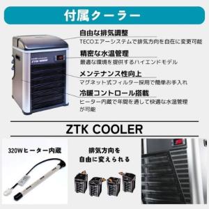 IESAUNA (工事不要)投げ込み式かんたん...の詳細画像5