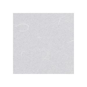 ワーロン シート(薄雲竜)スタンダードタイプ強化障子紙 0.2×930×2150mm No.2-15...