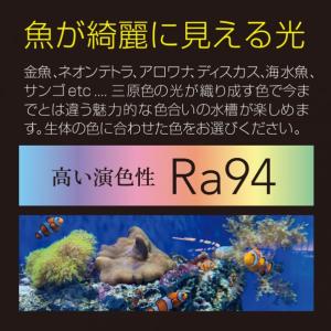 ゼンスイ Free Color Hyper L...の詳細画像5