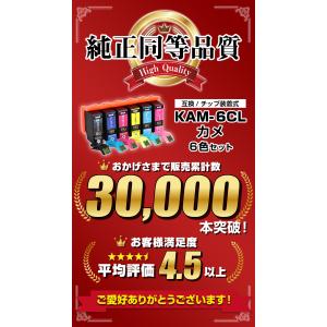 KAM-6CL-L 6色パック カメ ICチッ...の詳細画像1