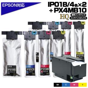 エコインク IP01 IP01B 【純正同等品質】4色×5セット エプソン用