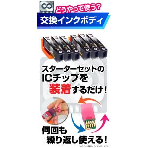 【永久ICチップ 交換用ボディ】SAT-BK ...の詳細画像3