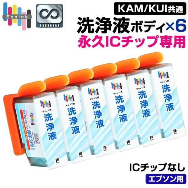 【永久ICチップ洗浄液ボディ】 洗浄液 6個 KAM KUI クリーニング 目詰まり解消 クリーニン...