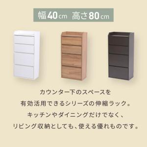 カウンター下収納 薄型 ミニ チェスト ローチ...の詳細画像2