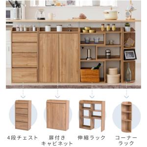 カウンター下収納 薄型 ミニ チェスト ローチ...の詳細画像3
