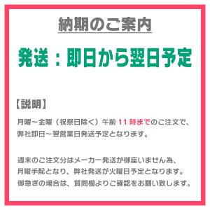 デリカミニ(B34A・R5/5〜R7/8)用 ...の詳細画像2