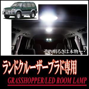 LEDルームランプ　トヨタ・ランドクルーザープラド(90系)専用セット　驚きの明るさ/1年間保証/GRASSHOPPER｜diyparks