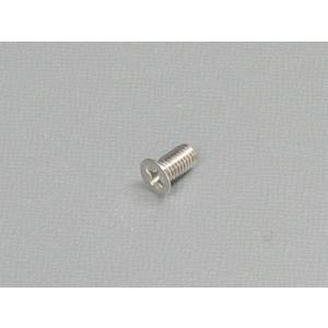 ネジ ステンレス 皿小ネジ 小頭 M5×10mm...の商品画像