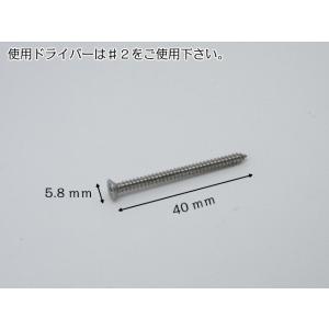 可 ステンレス 皿タッピングビス ３ｍｍ×４０ｍｍ 金属