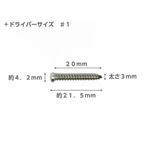 ビス ステンレス ナベ 小頭 タッピングビス ...の詳細画像1