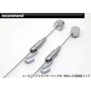 ピクチャーレール classico 2m 後入れ インテリア ワイヤーフック アルファ ピクチャーレールＲ スリムライン兼用  ピクチャーレール用フック