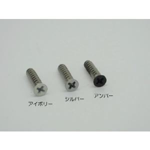 ステンレス 皿タッピング 小頭 4×20mmピクチャーレールR・スリムライン用 頭部塗装ビス ピクチャーレール 追加 ネジ
