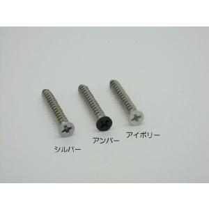 ステンレス 皿タッピング 小頭 4×30mmピクチャーレールR・スリムライン用 頭部塗装ビス ピクチャーレール 追加 ネジ