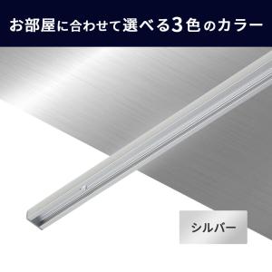 ピクチャーレール classico スリムライ...の詳細画像1