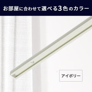 ピクチャーレール classico スリムライ...の詳細画像2