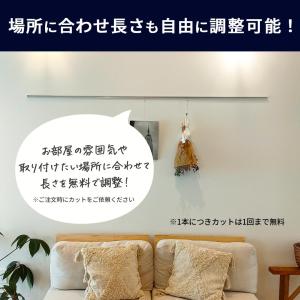 ピクチャーレール classico スリムライ...の詳細画像4