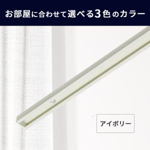 ピクチャーレール classico スリムライ...の詳細画像2