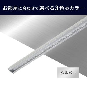 ピクチャーレール classico スリムライ...の詳細画像1