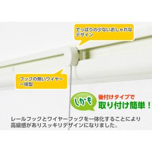 ピクチャーレール classico 50cm ...の詳細画像4