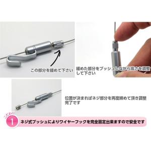 ピクチャーレール ワイヤー フックのみ cla...の詳細画像3