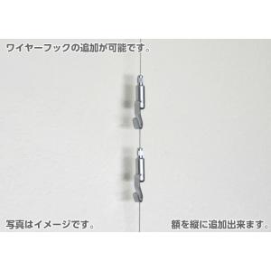 ピクチャーレール ワイヤー フックのみ cla...の詳細画像4