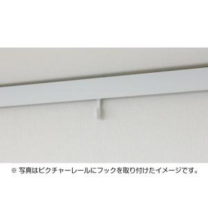 TOSO Wフック W15-A ピクチャーレー...の詳細画像3