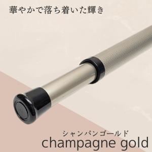 アルミ製 浴室用 物干し竿 軽い classi...の詳細画像2