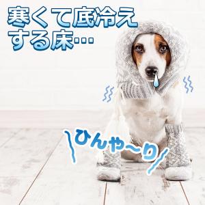 断熱材 断熱シート 断熱マット 断熱ボード 床...の詳細画像3