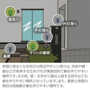 カメムシ対策 スプレー 蜘蛛よけ 蜘蛛の巣 予...の詳細画像4
