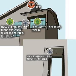 カメムシ対策 スプレー 蜘蛛よけ 蜘蛛の巣 予...の詳細画像5