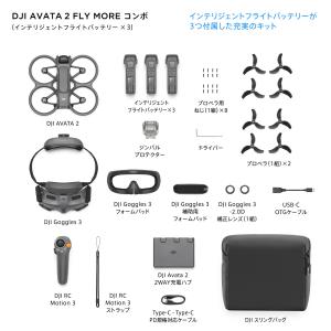 公式限定セットでお得 DJI Avata 2 ...の詳細画像2