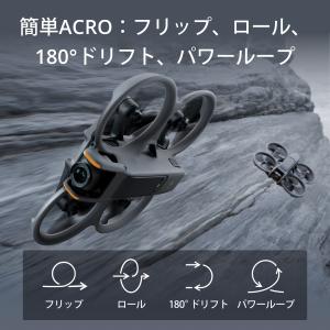 公式限定セットでお得 DJI Avata 2 ...の詳細画像5