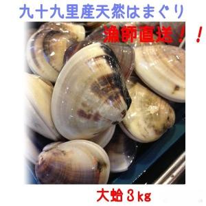 千葉九十九里産天然活はまぐり　大蛤　３ｋｇ　採れたて直送　新鮮　蛤　ハマグリ