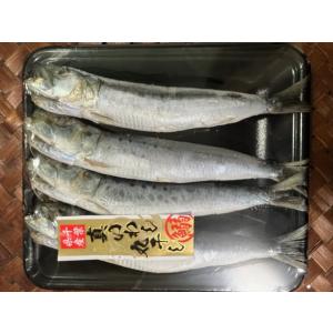 真いわしの丸干し　千葉県産　絶品いわし　イワシ/DHA/...