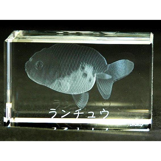 ランチュウ−魚3Dクリスタルアート