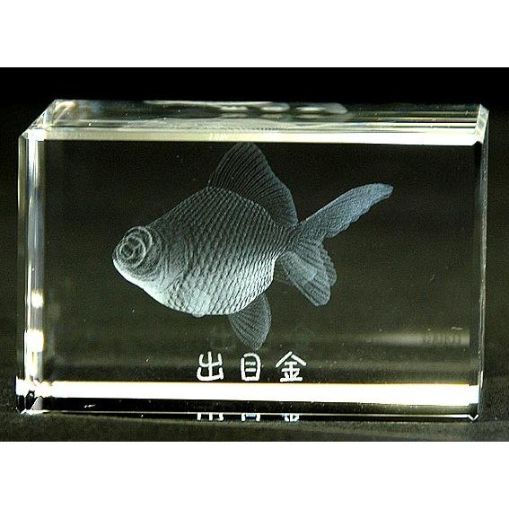 出目金−魚3Dクリスタルアート