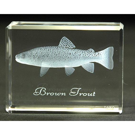 ブラウントラウト-魚3Dクリスタルアート