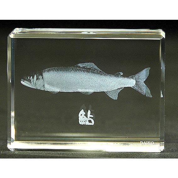 鮎-魚3Dクリスタルアート