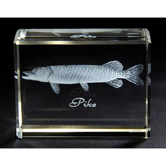 パイク-魚3Dクリスタルアート