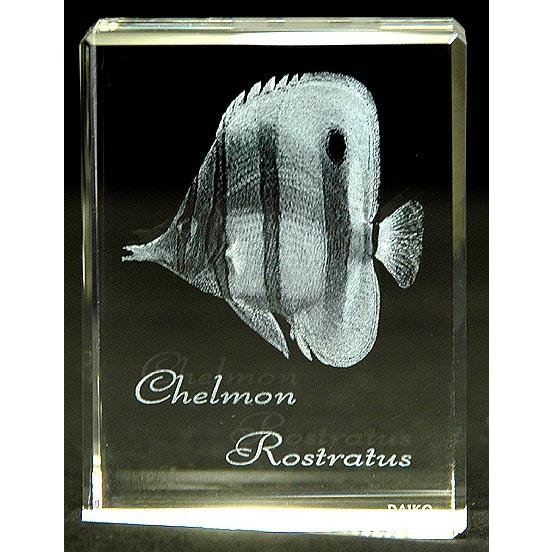 チョウチョウウオ−魚3Dクリスタルアート