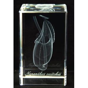 ネペンテス ビーチ-食虫植物3Dクリスタルアート