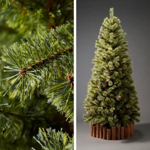 【公式 Alsace(R) 正規品】クリスマス...の詳細画像1