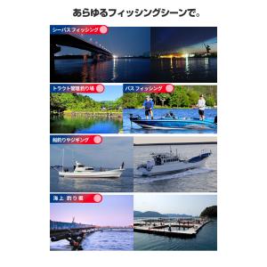 ランディングネット 70-3L Pro タモ網...の詳細画像4