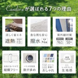 19週連続1位受賞【 品質で選ぶならCando...の詳細画像2