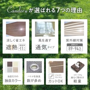 19週連続1位受賞【 品質で選ぶならCando...の詳細画像3