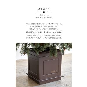 【公式 Alsace(R) 正規品】 ポットツ...の詳細画像2