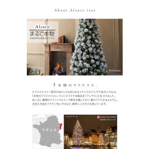 【公式 Alsace(R) 正規品】 ポットツ...の詳細画像5